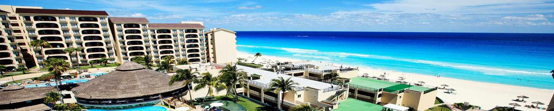 The Royal Mayan